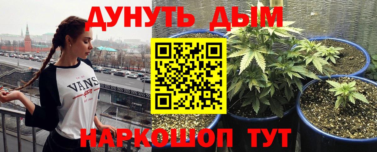 Конопля ГИДРОПОН  Канабис Ganja  Вход с VPN  Бошки Шишки тримм  Усть-Илимск 